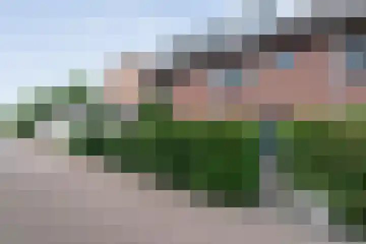 Rietgras 68 Zwolle thumbnail 49
