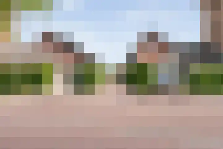 Rietgras 68 Zwolle thumbnail 51