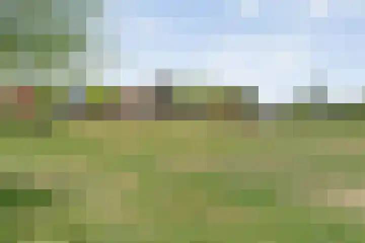 Rietgras 68 Zwolle thumbnail 52