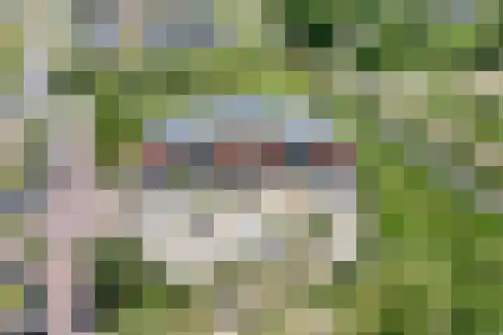 Rietgras 68 Zwolle thumbnail 55