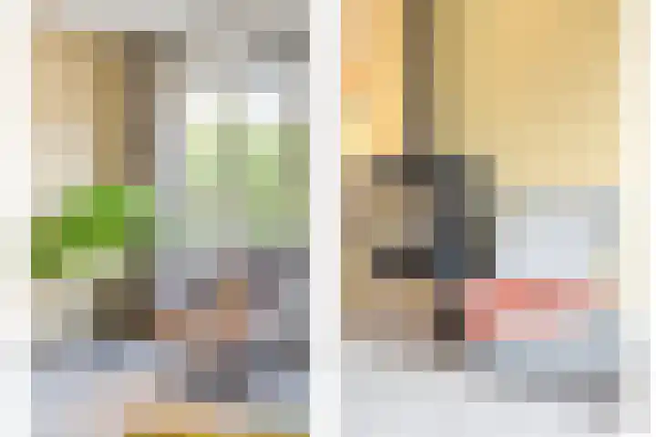 Rietgras 68 Zwolle thumbnail 7