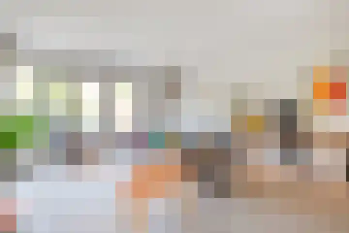 Rietgras 68 Zwolle thumbnail 8