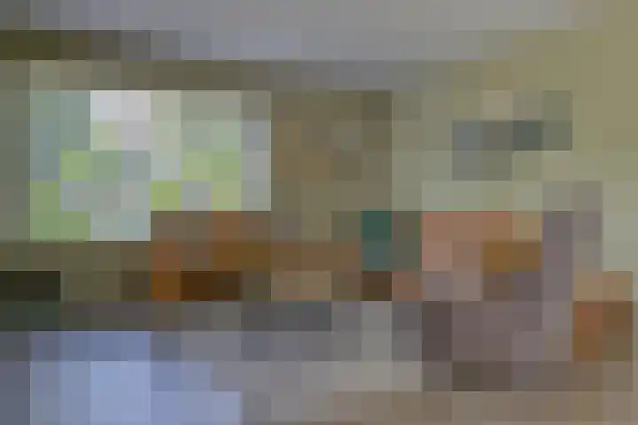 Riethaakstraat 5 Hank thumbnail 10