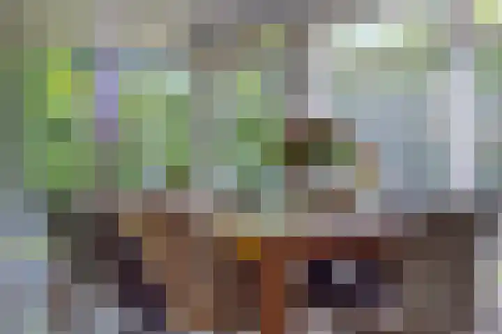 Riethaakstraat 5 Hank thumbnail 14