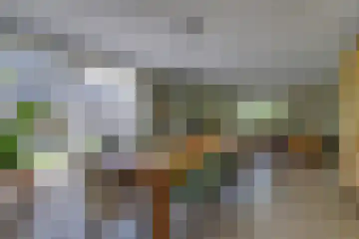 Riethaakstraat 5 Hank thumbnail 15