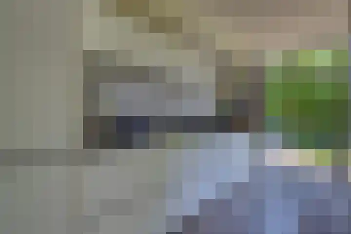 Riethaakstraat 5 Hank thumbnail 17