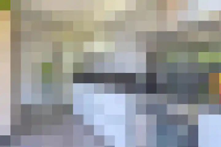 Riethaakstraat 5 Hank thumbnail 20