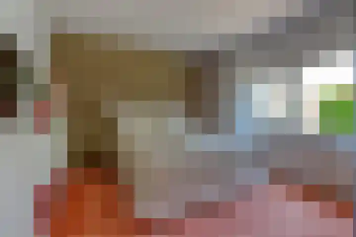 Riethaakstraat 5 Hank thumbnail 22