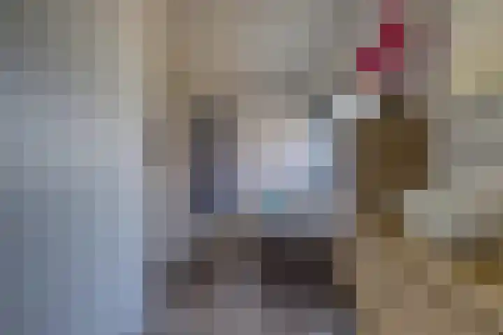 Riethaakstraat 5 Hank thumbnail 24