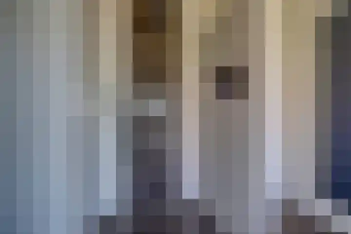 Riethaakstraat 5 Hank thumbnail 26