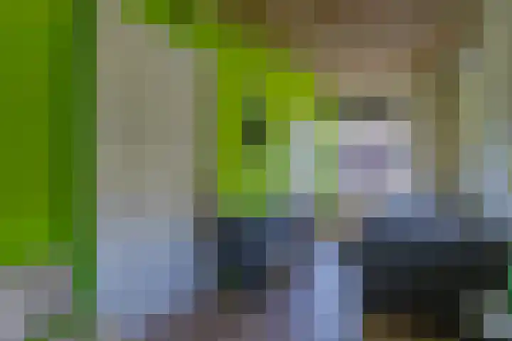 Riethaakstraat 5 Hank thumbnail 33