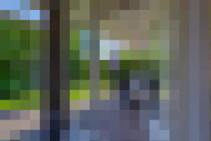 Riethaakstraat 5 Hank thumbnail 38