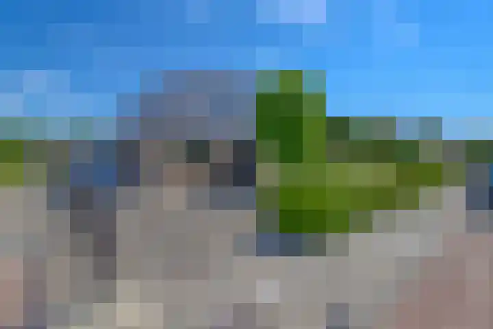 Riethaakstraat 5 Hank thumbnail 4