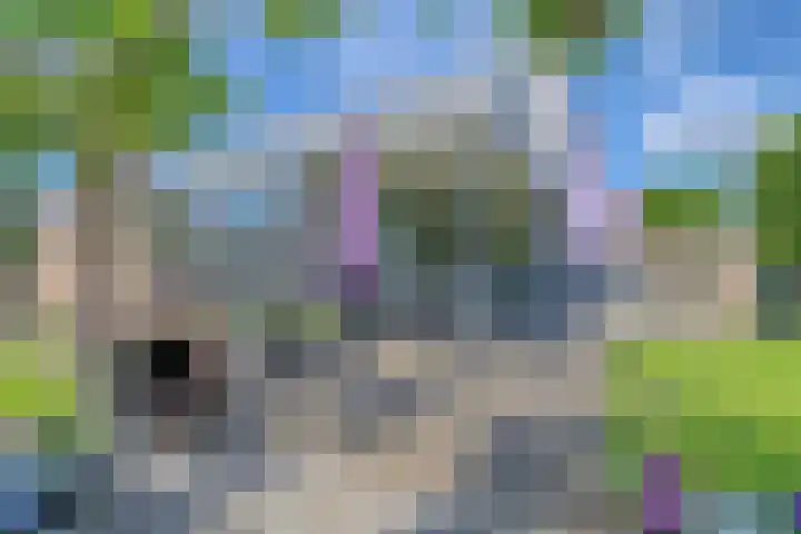 Riethaakstraat 5 Hank thumbnail 40