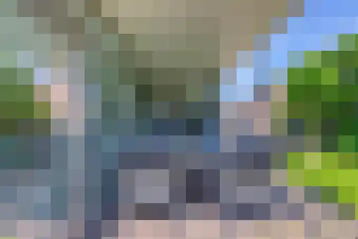 Riethaakstraat 5 Hank thumbnail 41