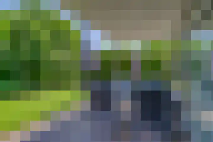 Riethaakstraat 5 Hank thumbnail 42