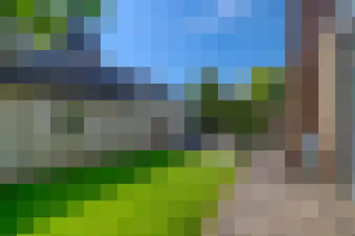 Riethaakstraat 5 Hank thumbnail 45