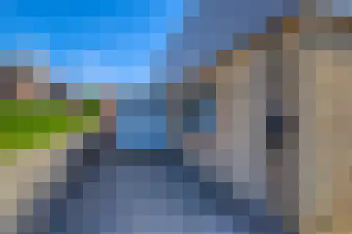 Riethaakstraat 5 Hank thumbnail 48