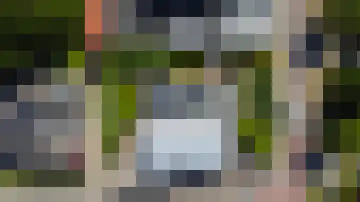 Riethaakstraat 5 Hank thumbnail 49