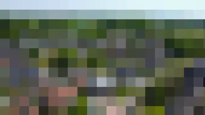Riethaakstraat 5 Hank thumbnail 50
