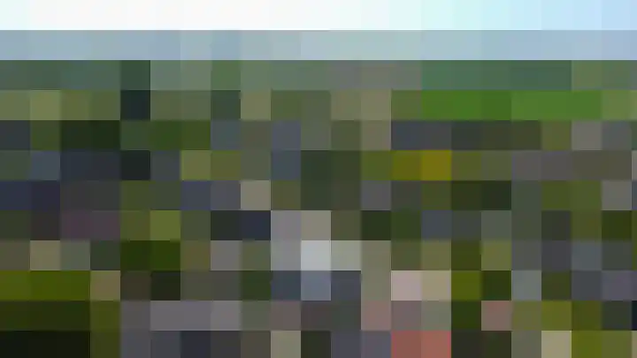 Riethaakstraat 5 Hank thumbnail 51