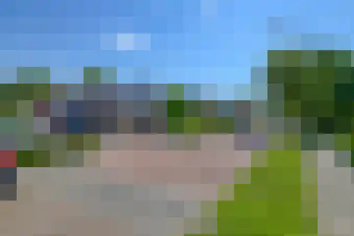 Riethaakstraat 5 Hank thumbnail 52