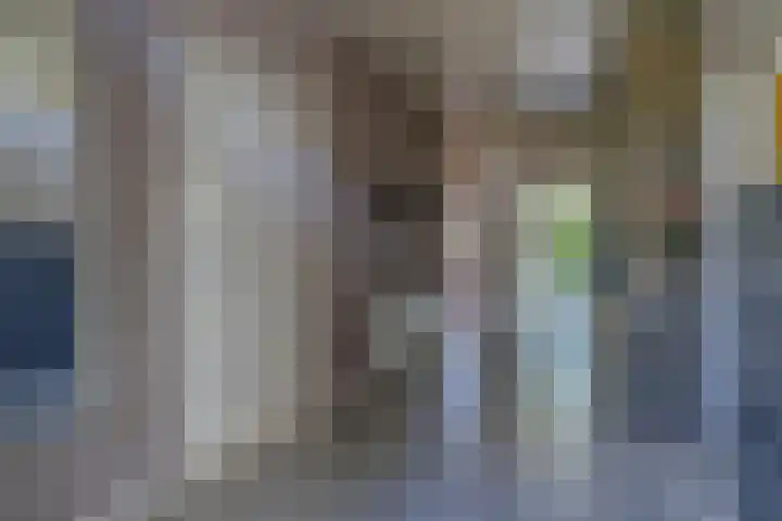 Riethaakstraat 5 Hank thumbnail 7