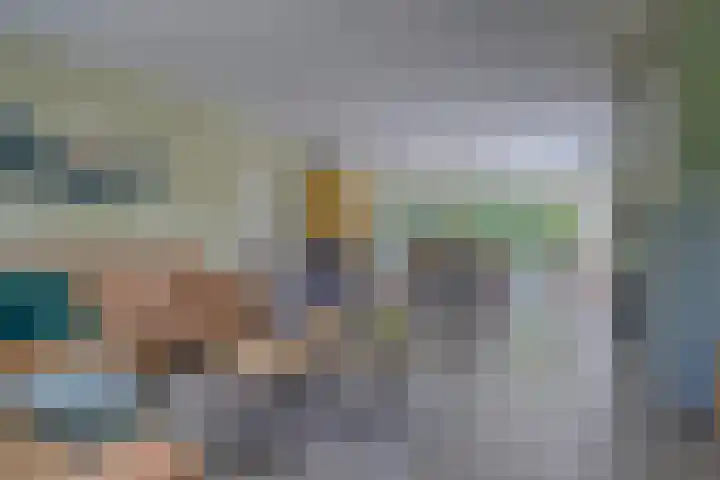 Riethaakstraat 5 Hank thumbnail 8