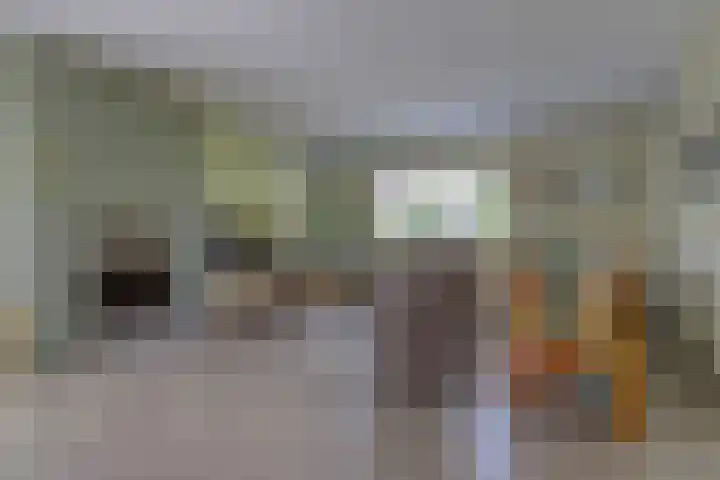 Riethaakstraat 5 Hank thumbnail 9