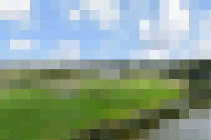 Rietkade 36 Den Haag thumbnail 32