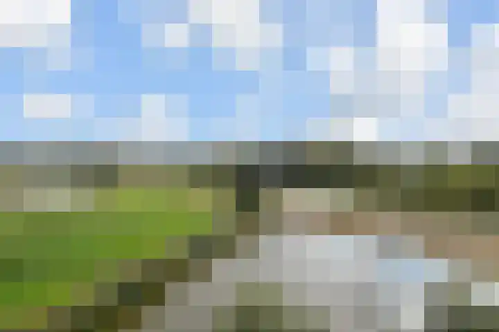 Rietkade 36 Den Haag thumbnail 33