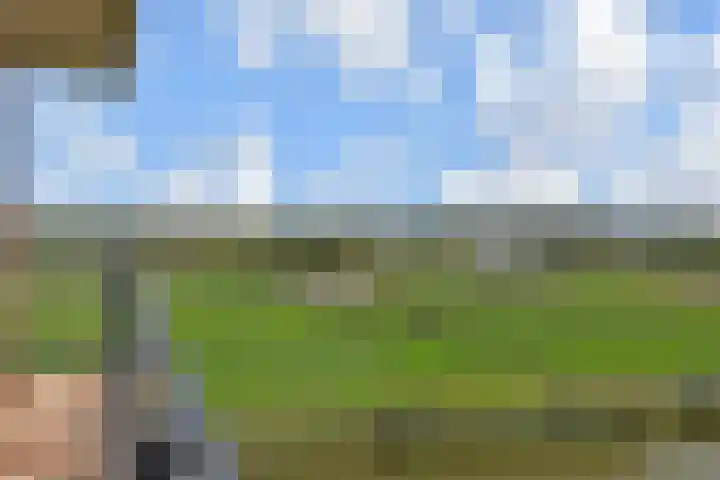 Rietkade 36 Den Haag thumbnail 4