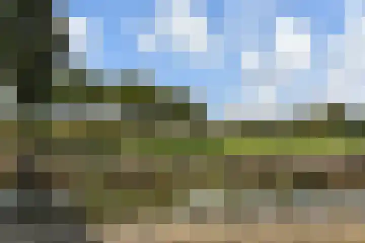 Rietkade 36 Den Haag thumbnail 43