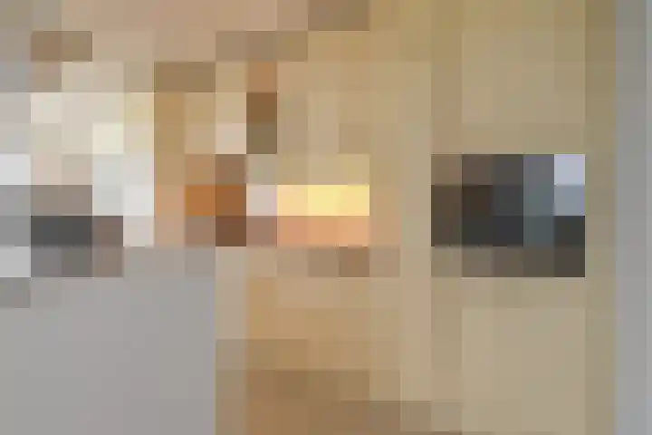 Rietkade 36 Den Haag thumbnail 5