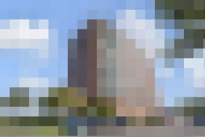 Rietkade 36 Den Haag thumbnail 6