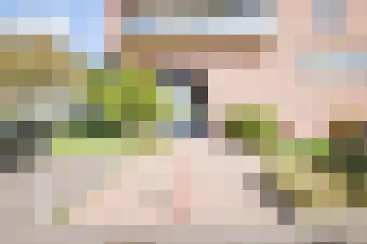 Rietkade 36 Den Haag thumbnail 8