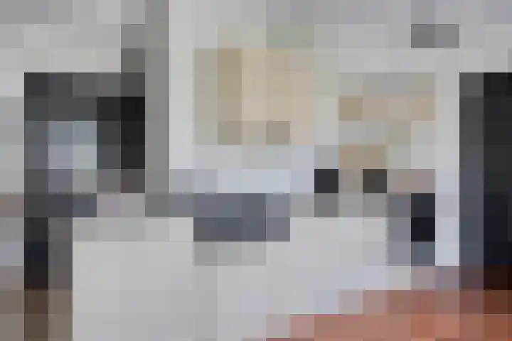 Rietkamp 1 Wapenveld thumbnail 11