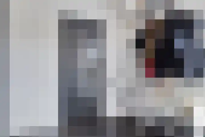 Rietkamp 1 Wapenveld thumbnail 12