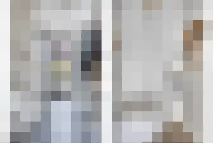 Rietkamp 1 Wapenveld thumbnail 14