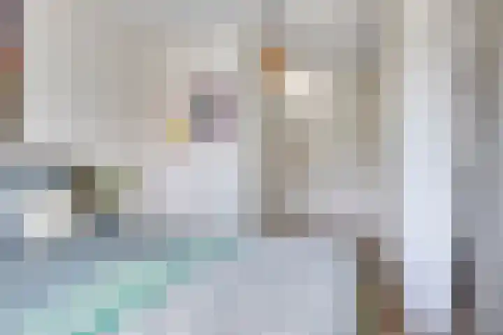 Rietkamp 1 Wapenveld thumbnail 17