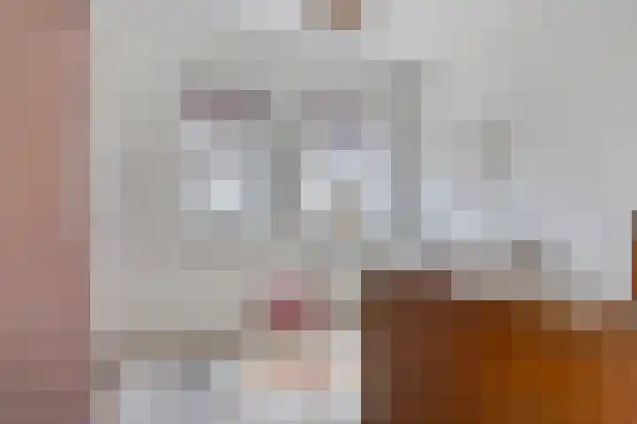 Rietkamp 1 Wapenveld thumbnail 21
