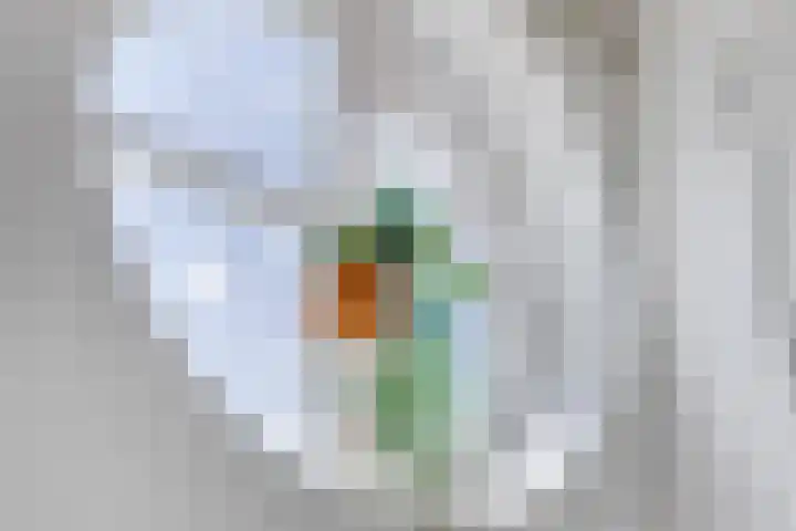 Rietkamp 1 Wapenveld thumbnail 28