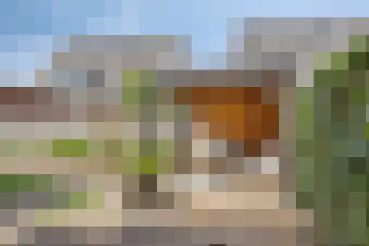 Rietkamp 1 Wapenveld thumbnail 30
