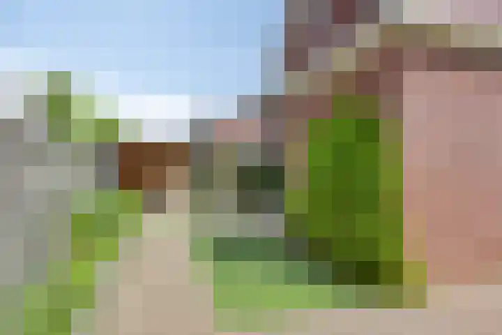 Rietkamp 1 Wapenveld thumbnail 33