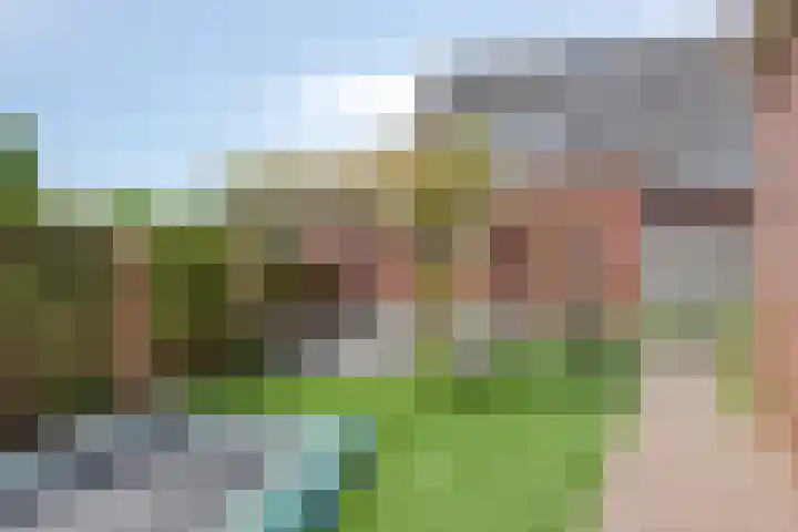 Rietkamp 1 Wapenveld thumbnail 35
