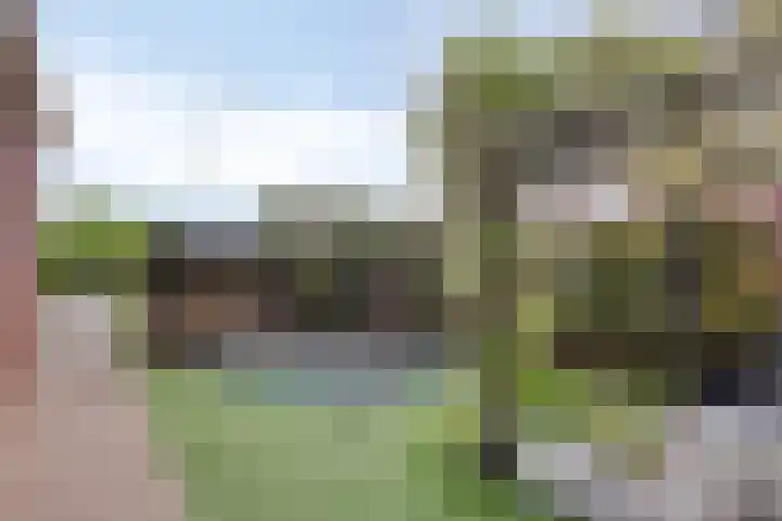 Rietkamp 1 Wapenveld thumbnail 36