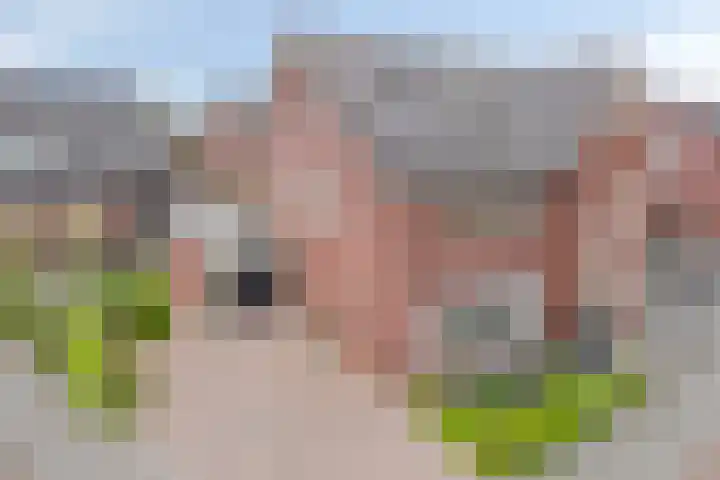 Rietkamp 1 Wapenveld thumbnail 38