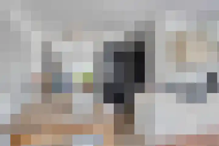 Rietkamp 1 Wapenveld thumbnail 8