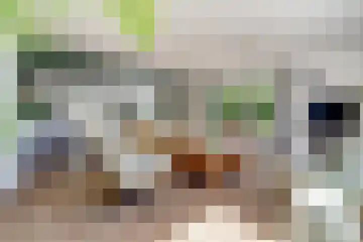 Rietkamp 36 Vianen thumbnail 13