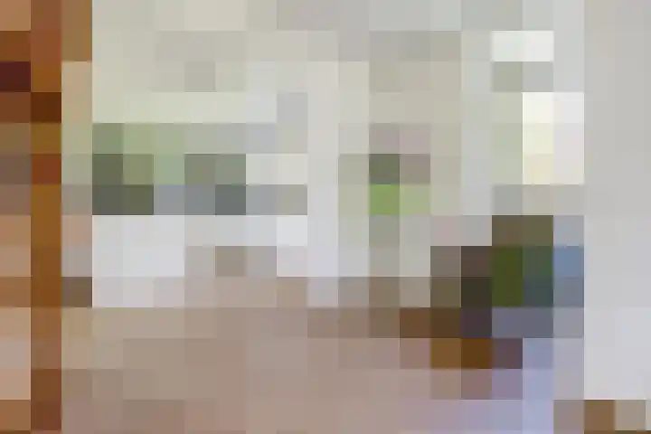 Rietkamp 36 Vianen thumbnail 24
